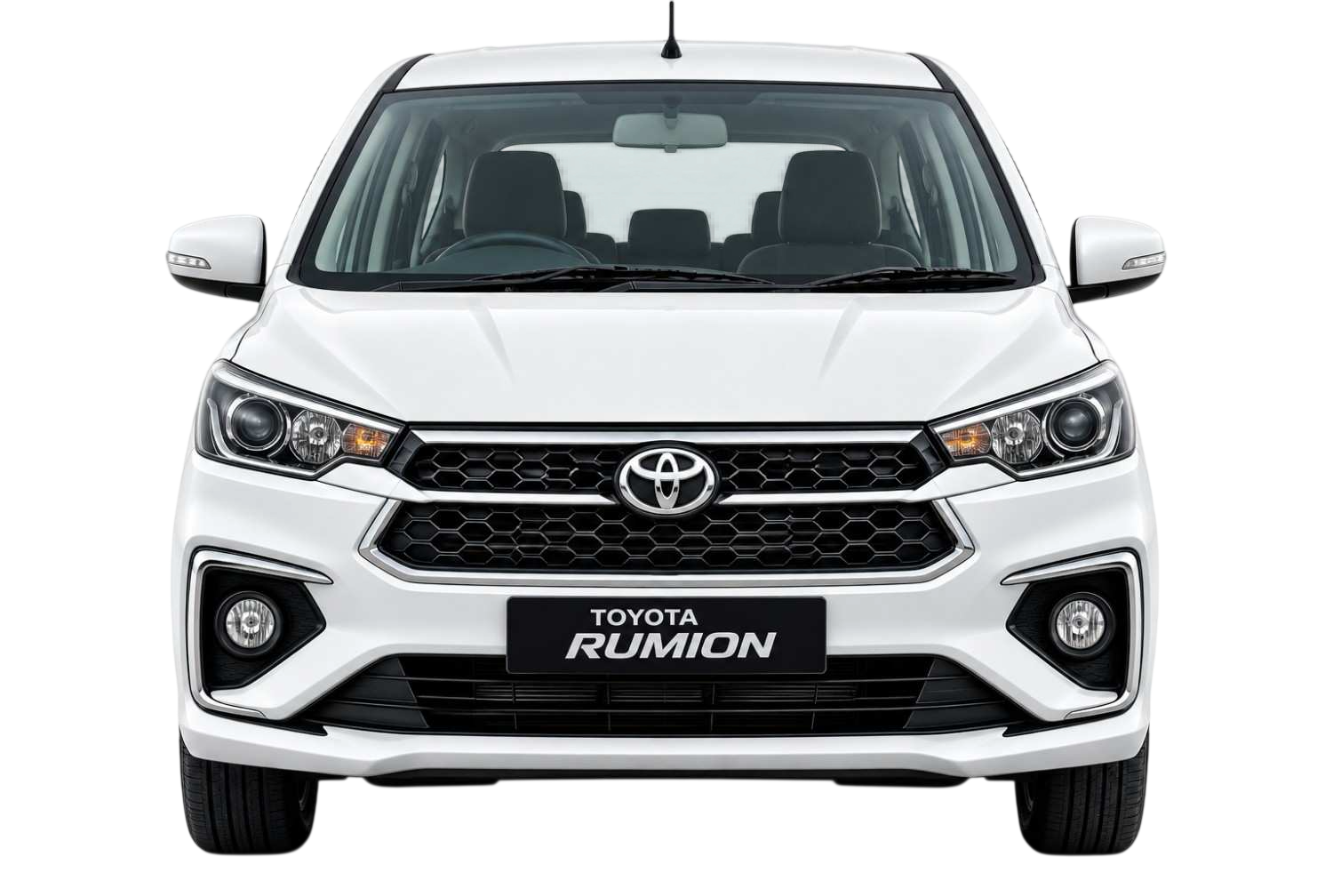 RUMION